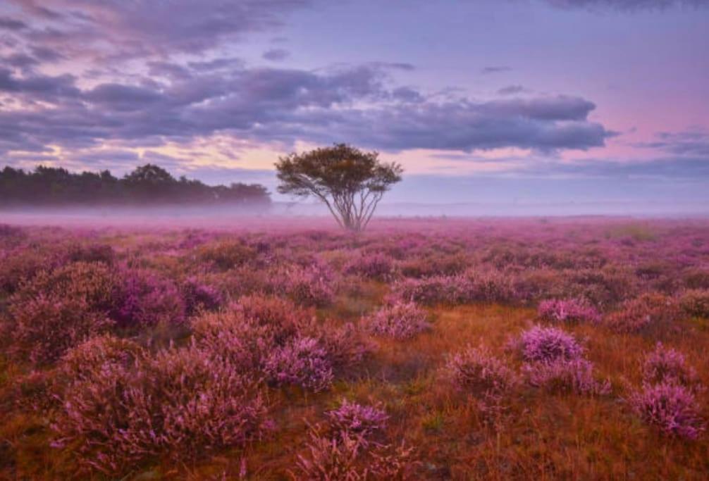 Veluwe Boutique Lodge Putten Esterno foto